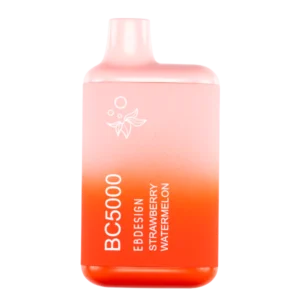 ELFBAR BC5000 - STRAWBERRY WATERMELON