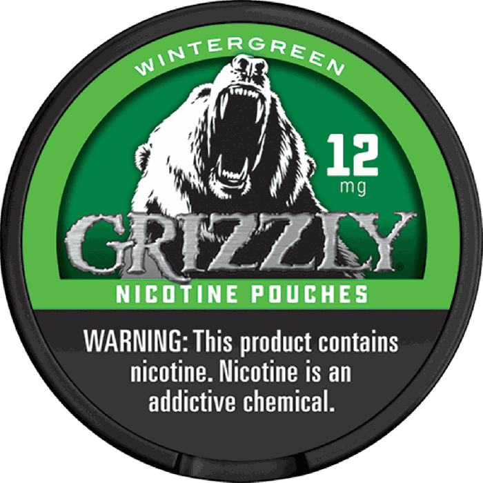 Grizzly Nicotine Pouches - Wintergreen - Image 4